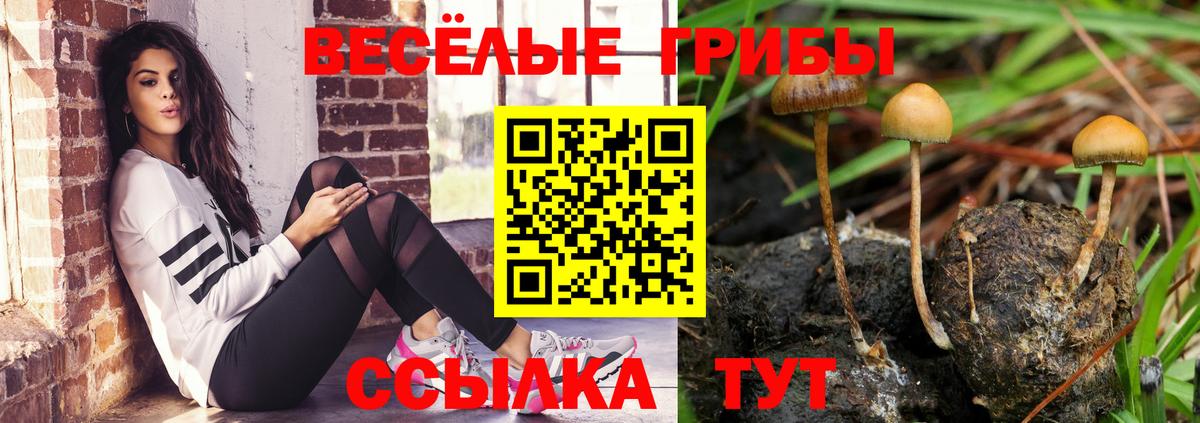 Псилоцибиновые грибы прущие грибы  Вход с VPN  Зеленодольск 